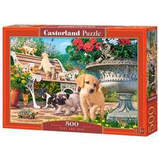 Castorland Pussel Castorland Hide & Seek 500 Pieces