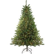 Transparent Christmas Trees Northlight Seasonal 5-ft. Pre-Lit Clear Canadian Pine Artificial Christmas Tree, Green Christmas Tree