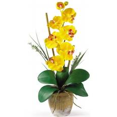 Plastic Artificial Plants Nearly Natural Phalaenopsis Silk Orchid Flower Arrangement Yellow Artificial Plant