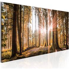 Artgeist Small Natural Wonders Art encadré 135x45cm