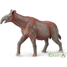Polyester Figurer Collecta Paraceraterium