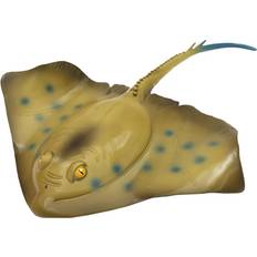 Sprutfisk Rocka