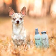 Greenfields plejesæt med hundeshampoo spray 2x250