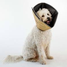 Comfy cone Four Paws All Four Paws Djurkrage Comfy Cone