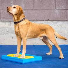 Balance pad FITPAWS Pet Balance Pad