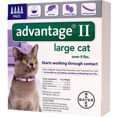 Advantage cat flea treatment Advantage II Topical Treatment