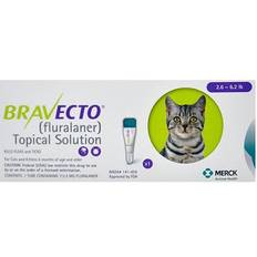 Bravecto Pets Bravecto Bravecto Spot On For Small Cats 2.6 Lbs 6.2 Lbs
