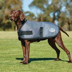 Weatherbeeta Manteau Classique Pour Chien - Dunkelgrau - 55