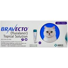 Bravecto Pets Bravecto Bravecto Spot On For Medium Cats 6.2 Lbs