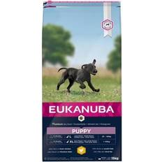 Puppy Large Breed