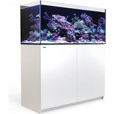 Akvarie 350 Red Sea 350 -v3 Akvarie