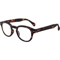 #C Tortoise