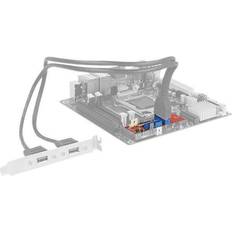 Intern usb 3.0 header DeLock Converter M.2