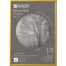 NAG-17004