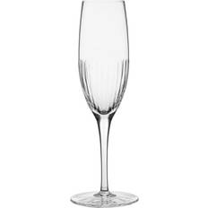 Magnor Champagneglas Magnor Alba Fine Line Champagneglas 25cl