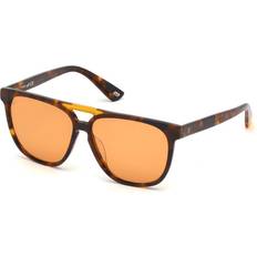 Web Eyewear WE0263-5956J Ã¸ 59