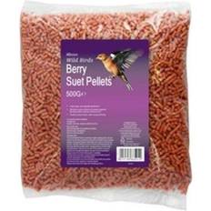 Ambassador Suet Pellets 500g Berry