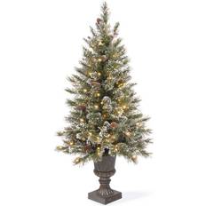 Interior Details National Tree Company 4' Pre-Lit Glittery Bristle Pine Christmas Christmas Tree