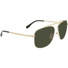 Aviator gold Lacoste Classic Aviator Gold