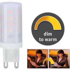 3 pin led Paulmann kaksikantainen LED-lamppu G9 4W 3 000 K