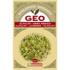 Geo Lucernefrø spiring Økologiske 40 Frø