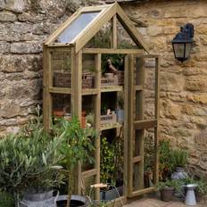 Georgian Greenhouse with Vent