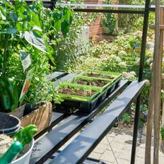 Drivhusbord Halls Greenhouses Juliana Drivhusbord integreret Qube 68