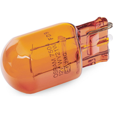 T10 w5w Amio AMiO Light Bulbs MERCEDES-BENZ,VOLVO,IVECO 01002 Bulb, indicator