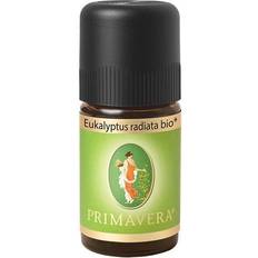 Eukalyptus eterisk olja Primavera Ekologisk Eterisk Olja, Eukalyptus Radiata, 5 ml