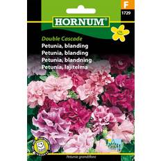 Hornum Petunia, blanding, Double Cascade F 1729