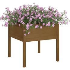 vidaXL plantekasser 2 stk. fyrretræ gyldenbrun Plantekasse