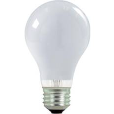 Satco Satco 72 Watts Medium Base White Halogen Bulb, S2408