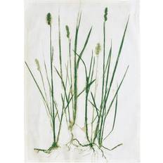 Södahl Viskestykker Södahl organic Grass Viskestykke Viskestykke Grøn (70x50cm)