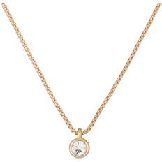 Brass Necklaces Ted Baker Sininaa Necklace - Gold/Transparent