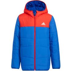 adidas Padded Winter Jacket - Blilil/Schwarz