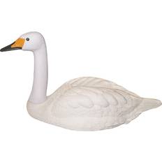 Skræmmer Svane