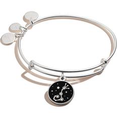 Alex And Ani Sagittarius Zodiac Charm Bangle Bracelet - Silver/Black