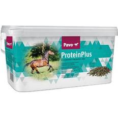ProteinPlus 7kg