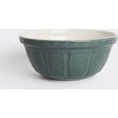 Colourmix Mason Cash Colourmix Green Mixing Mixing Bowl