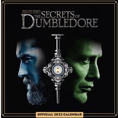 Danilo Fantastic Beasts Phantastische Tierwesen 3 2023
