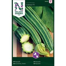 Nelson Garden Fröer Squash Latino Grøntsagsfrø