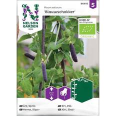 Krukker, Planter & Dyrkning Nelson Garden Ärt, Sprit-, Blauwschokker, Organic Grøntsagsfrø