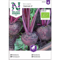 Rødbede frø Nelson Garden Økologisk Rødbede frø, Detroit 2 Grøntsagsfrø