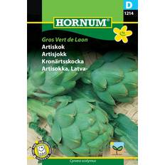Hornum Artiskok frø, Gros vert Laon Grøntsagsfrø