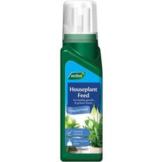 Houseplant Feed Concentrate