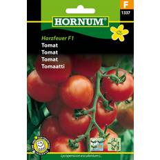 Tomater Grøntsagsfrø Hornum Tomat, Harzfeuer F1 F 1337 Grøntsagsfrø