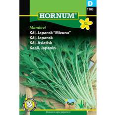 Krukker, Planter & Dyrkning Hornum Japansk kål frø, Mizuna Grøntsagsfrø