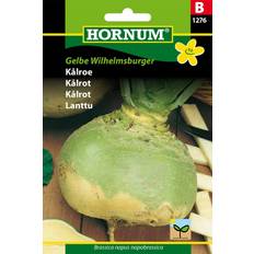 Hornum Kålrot 'Gelbe Wilhelmsburger', frö