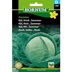 Hornum Kål, Hvid-, Copenhagen Market 2 Grøntsagsfrø