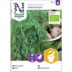 Nelson Garden Dill, Blad-, Gold Græsfrø